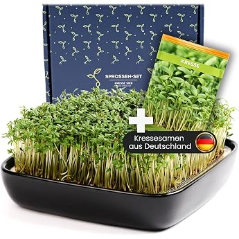 Otaro Cress Propagation Trays Including Cress Seeds from Germany Get Started Sprouts Propagation Set Elegant Cress Sieve Germination Trays for Sprouts Black - Premium Ceramic Set