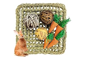 Hamiledyi Rabbit Carrot Toys Bundle