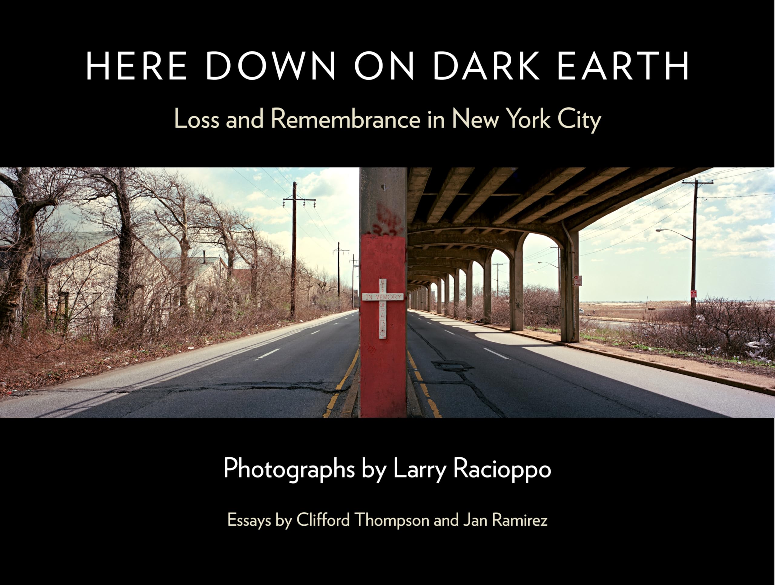 Here Down on Dark Earth Loss and Remembrance NYC livre anglais histoire