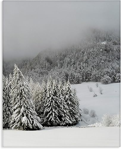 Stupell Industries Lil' Rue - Lienzo decorativo para pared, diseño de árboles de bosque con paisaje de nieve de invierno