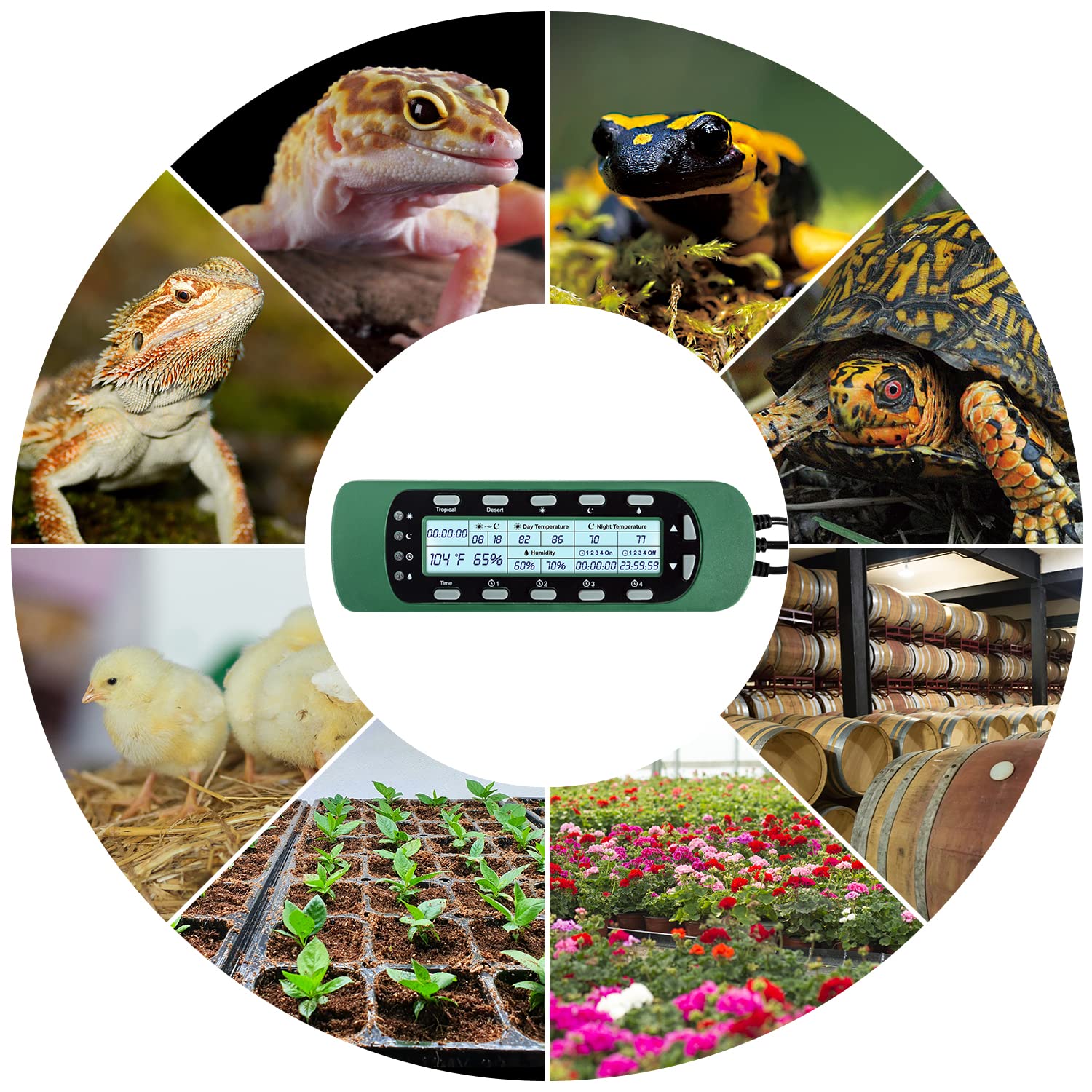 REPTI ZOO Termometro digitale per rettili igrometro regolatore per rettili serbatoio acqua terrario impermeabile rettile timer con termostato regolatore timer illuminazione