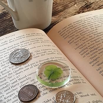 Amazon.co.jp: 本物四葉のクローバー 《Good Luck Pocket Token