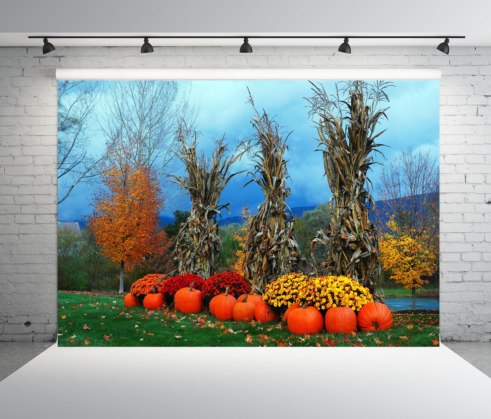 15x8FT (4.6x2.5m) Raccolto Di Zucche E Mais Sfondo Fotografico