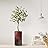 SIGNWIN Eucalyptus Tree with White, Red, Black & White Paint Splatter Color Block Vase Abstract Rocky Minimalism Zen Dramatic Multicolor Dark for Living Room, Bedroom, Office - X-Large 5 Feet (60")