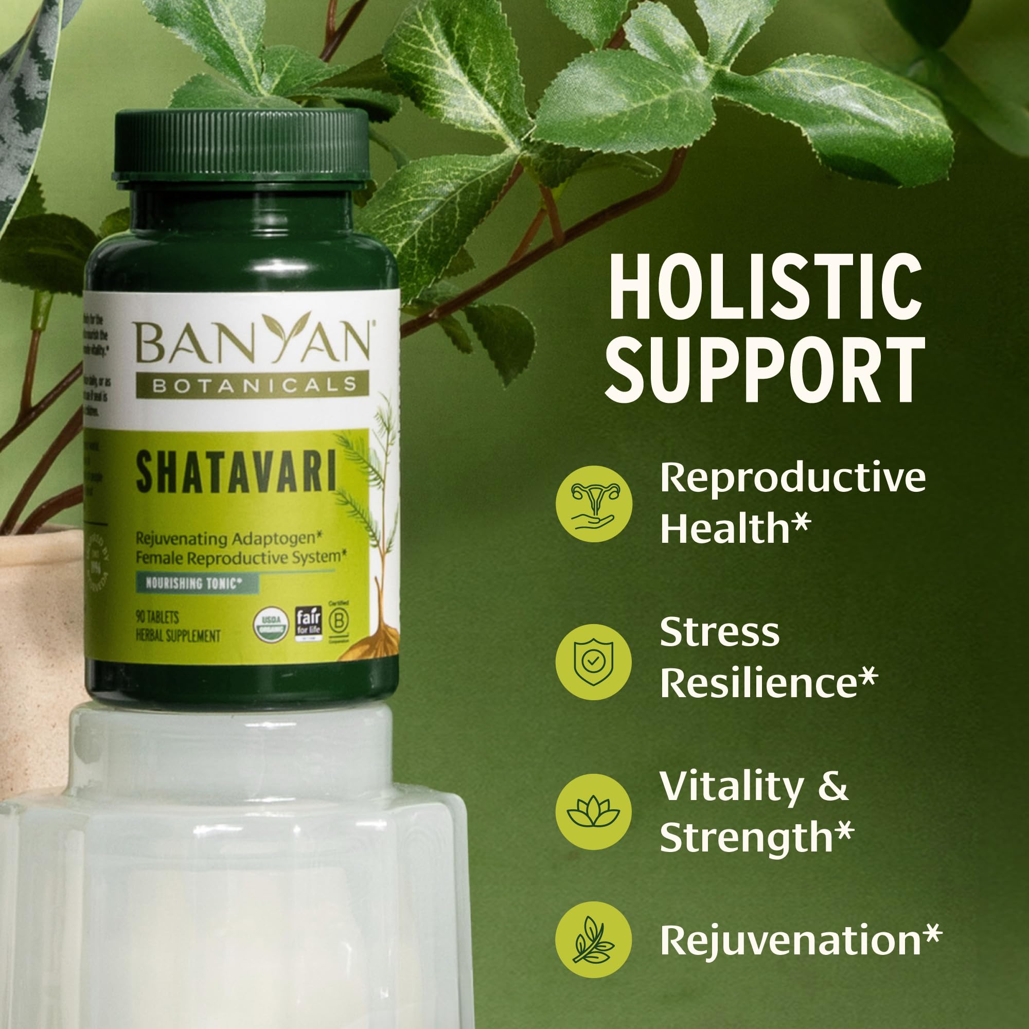 Banyan Botanicals Organic Shatavari Tablets – Rejuvenating Tonic for Feminine Vitality & Reproductive Health – Cooling Adaptogen for Internal Balance & Stress Support – 90 Tablets – USDA Organic — Amazon image 2
