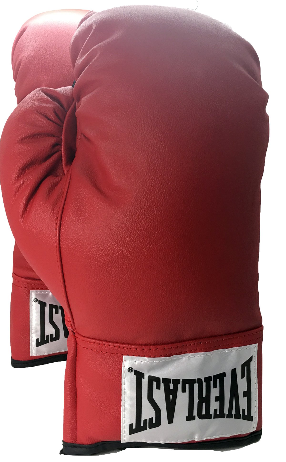 everlast leather boxing gloves