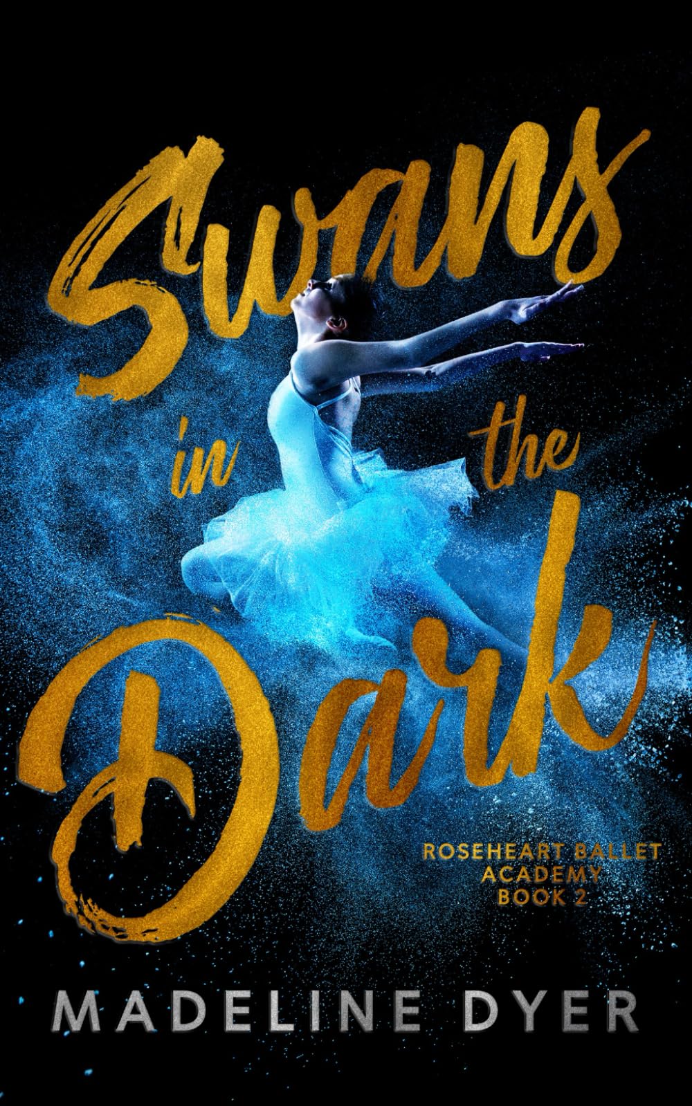 Swans in the Dark (Roseheart Ballet Academy)