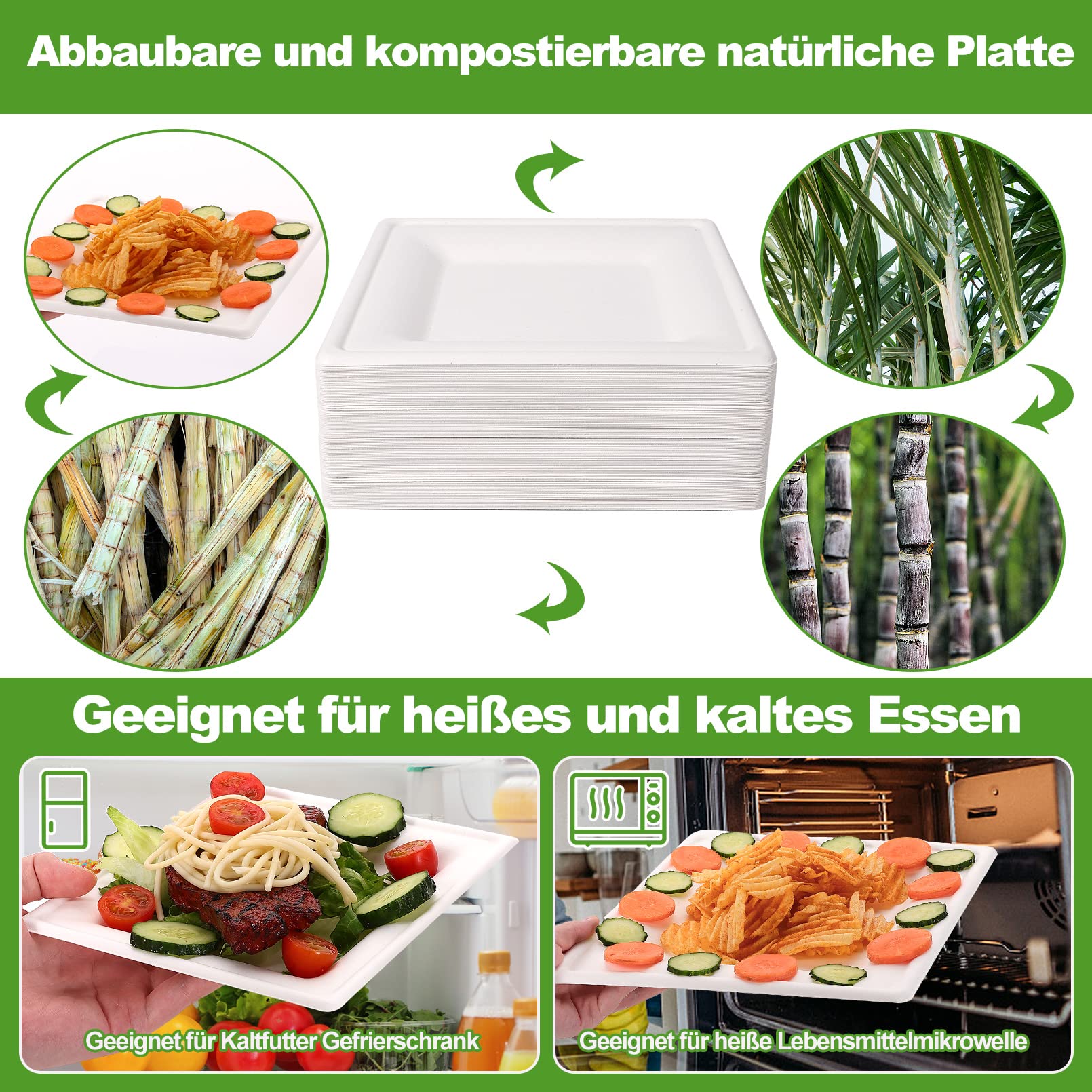 Piatti Usa E Getta ARYA In Bagassa Di Canna Da Zucchero 28 Cm | 4 Scomparti, Biodegradabili, Adatti A Microonde E Congelatore