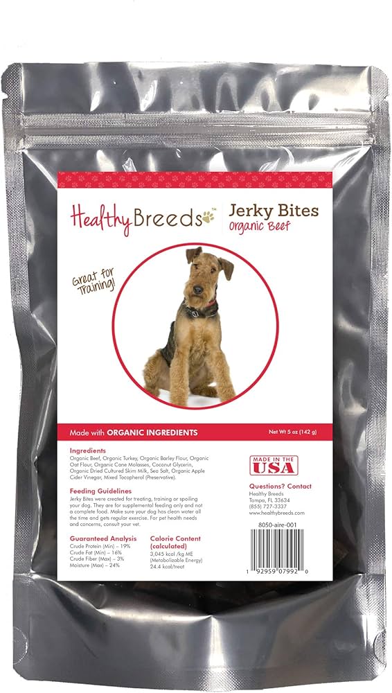 Health Concerns in Airedale Terriers: Vet's Top Tips