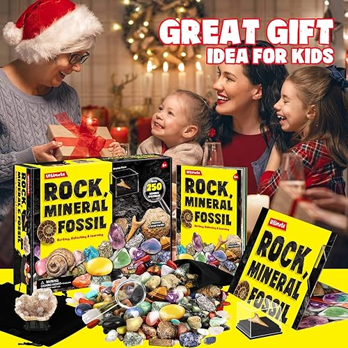 Miniatura 5 de Kit de colección de rocas, minerales y fósiles para niños, más de 250 piedras preciosas reales y cristales. Kit de identificación de rocas incluye