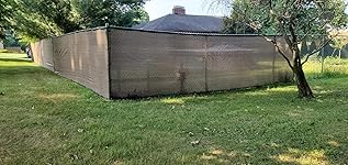 Review Image by Mark Mills Mark Mills