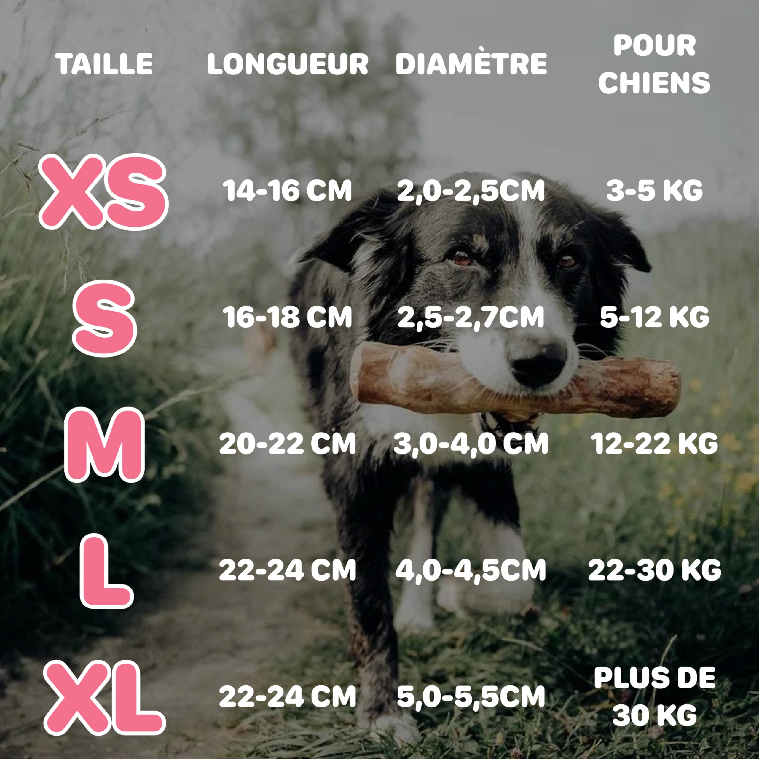 Bâton à Mâcher pour Chien et Chiots en Bois de Café, Jouet à Mâcher Durable Fabriqué à Partir de 100% d'arbre à Café Naturel, Soin Dentaire, Jouet à Mâcher Hypoallergénique L (3 pièces)