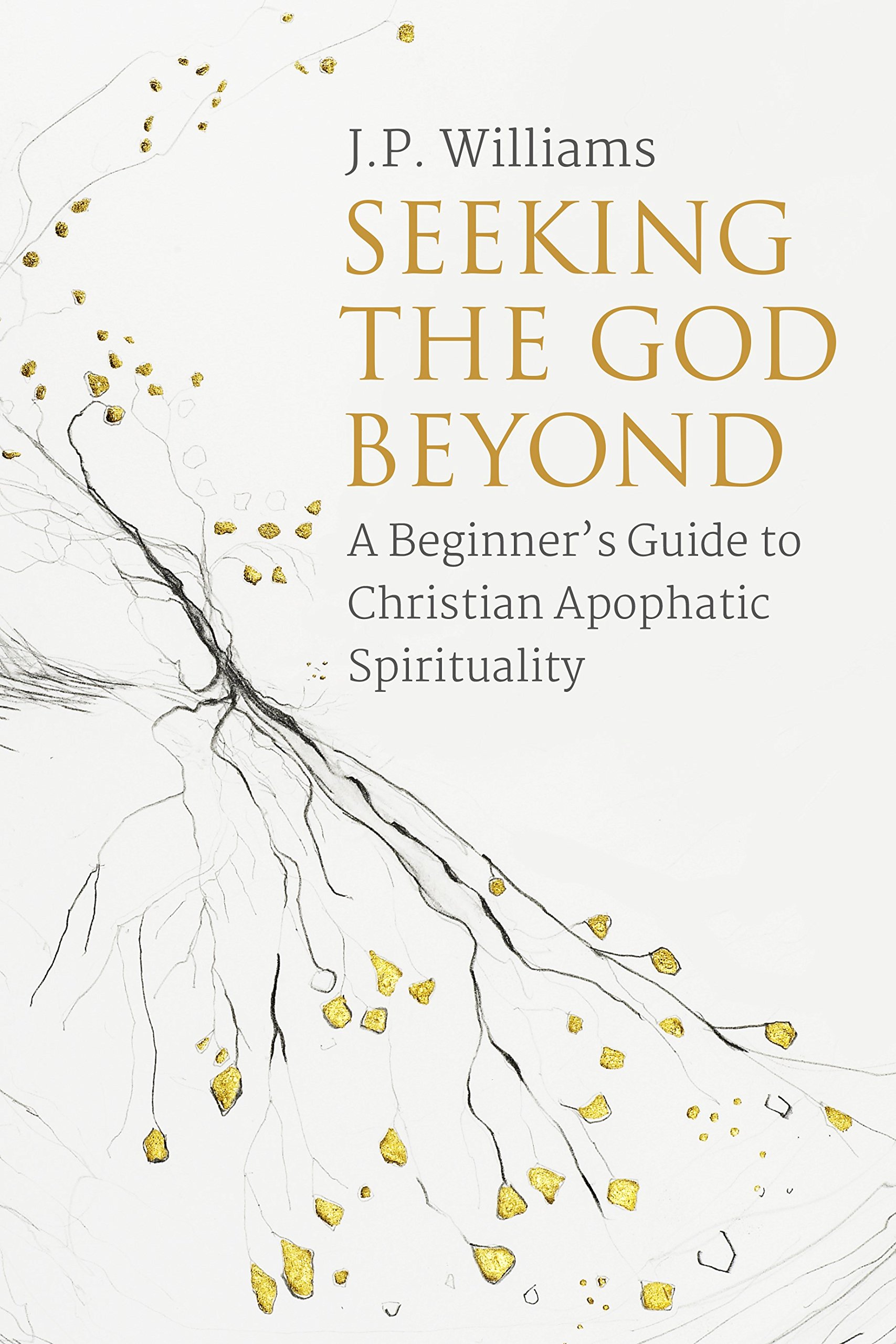 Seeking the God Beyond: A Beginner?s Guide to Christian... - Williams, J.P.