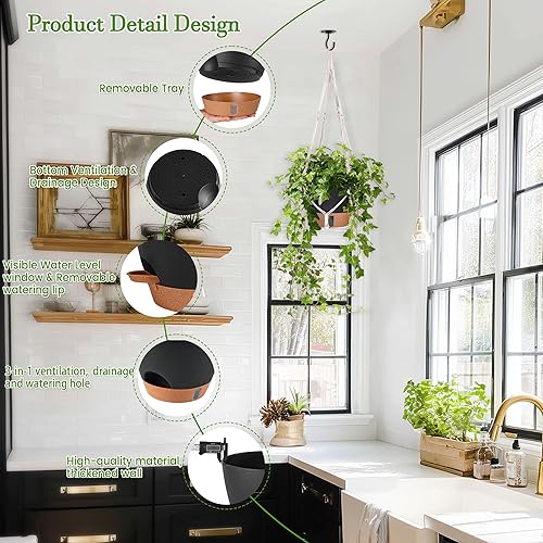 Miniatura 6 de Macetas colgantes de 10 pulgadas para plantas de interior, paquete de 2 cestas colgantes de riego automático macetas con orificio de drenaje,