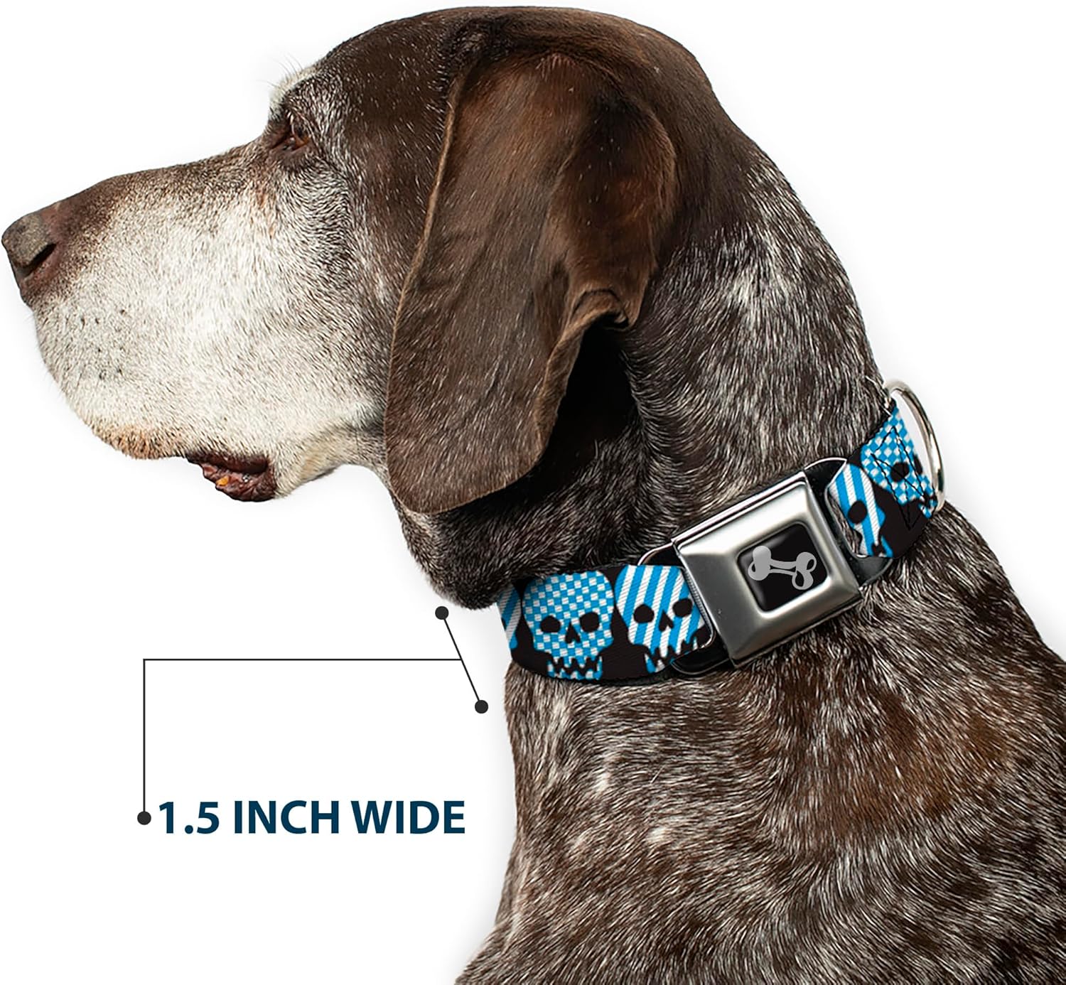 Buckle-Down Seatbelt Buckle Dog Collar - Checker & Stripe Skulls Black/White/Baby Blue - 1" Wide - Fits 15-26" Neck - Large