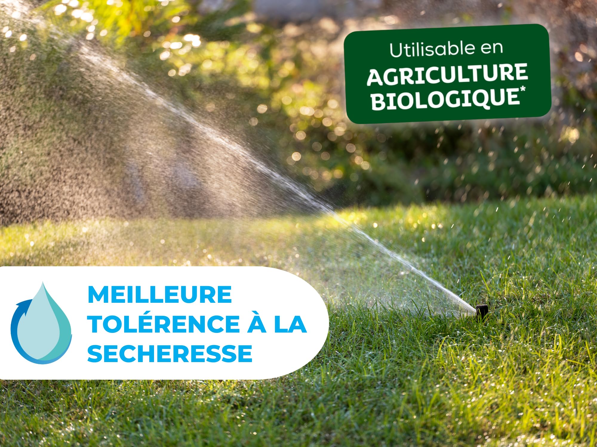 SOLABIOL Engrais Gazon Longue Durée - Sac 10 Kg - Jusqu'à 330m² - Améliore la tolérance à la sécheresse - Résiste au piétinement - Gazon Plus Dense & Plus Vert SOGAZY10BP
