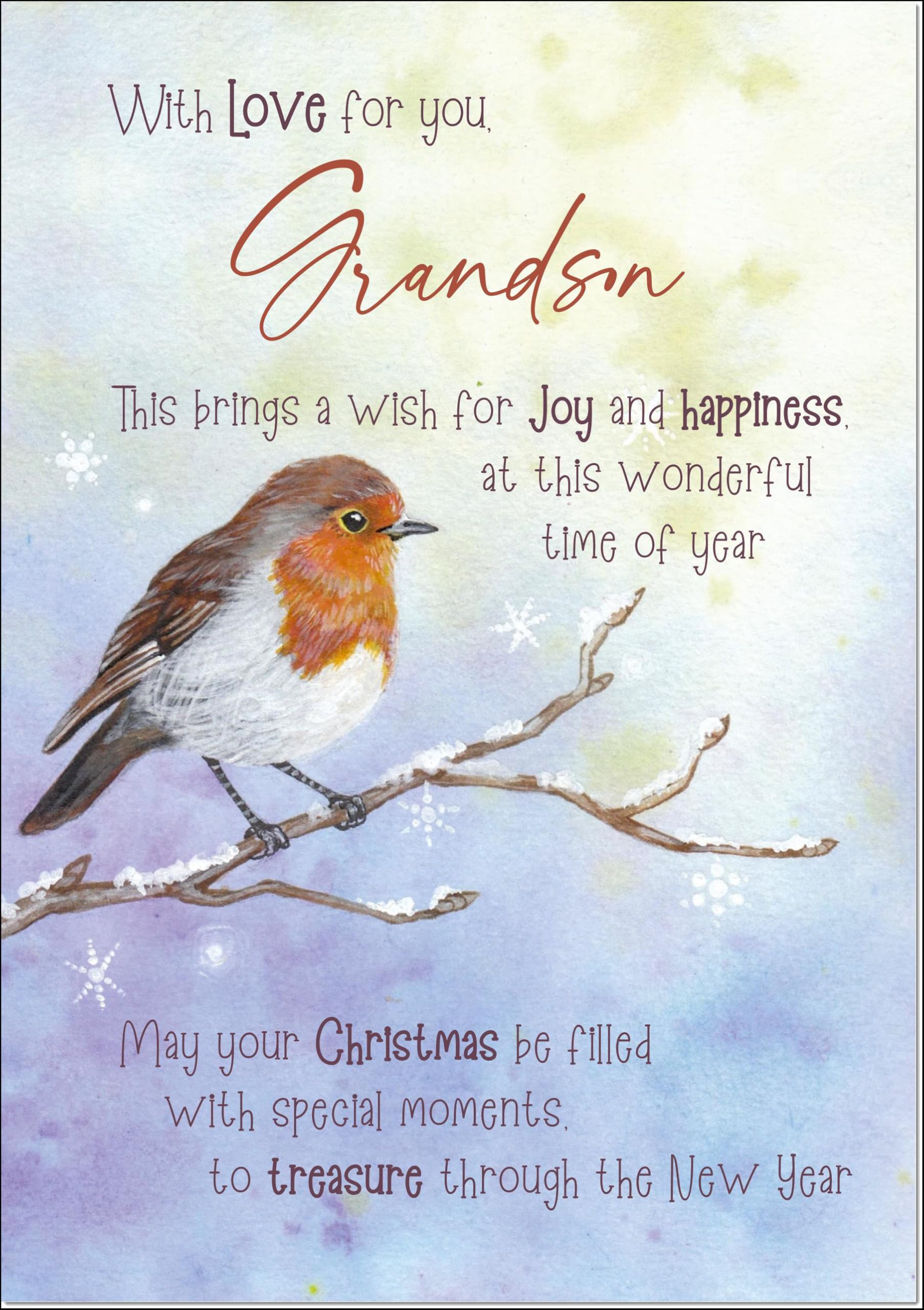 doodlecards Grandson Christmas Card Watercolour Robin In The Frost Large A4 Size Christmas Card for Grandson with Plain Envelope — image 1