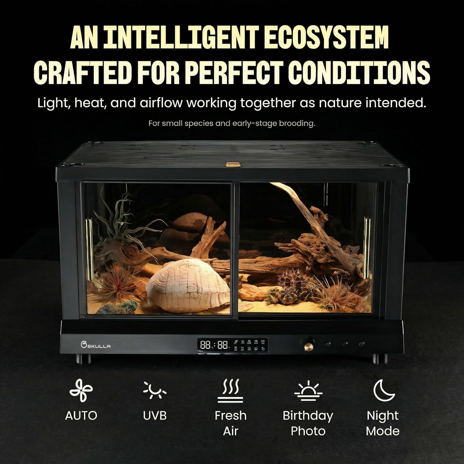 All-in-ONE Smart Reptile Tank, Reptile Enclosure，Terrarium Tank，Screen Ventilation Habitat，Amphibians，Suitable for Keeping Lizards, Geckos and Snakes (Black, CP1)