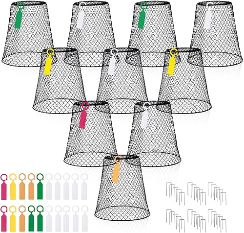 boldworks Protectores de plantas de animales jaula de plantas de 9 x 9 pulgadas para proteger el jardín de verduras al aire libre de conejos, pollo,