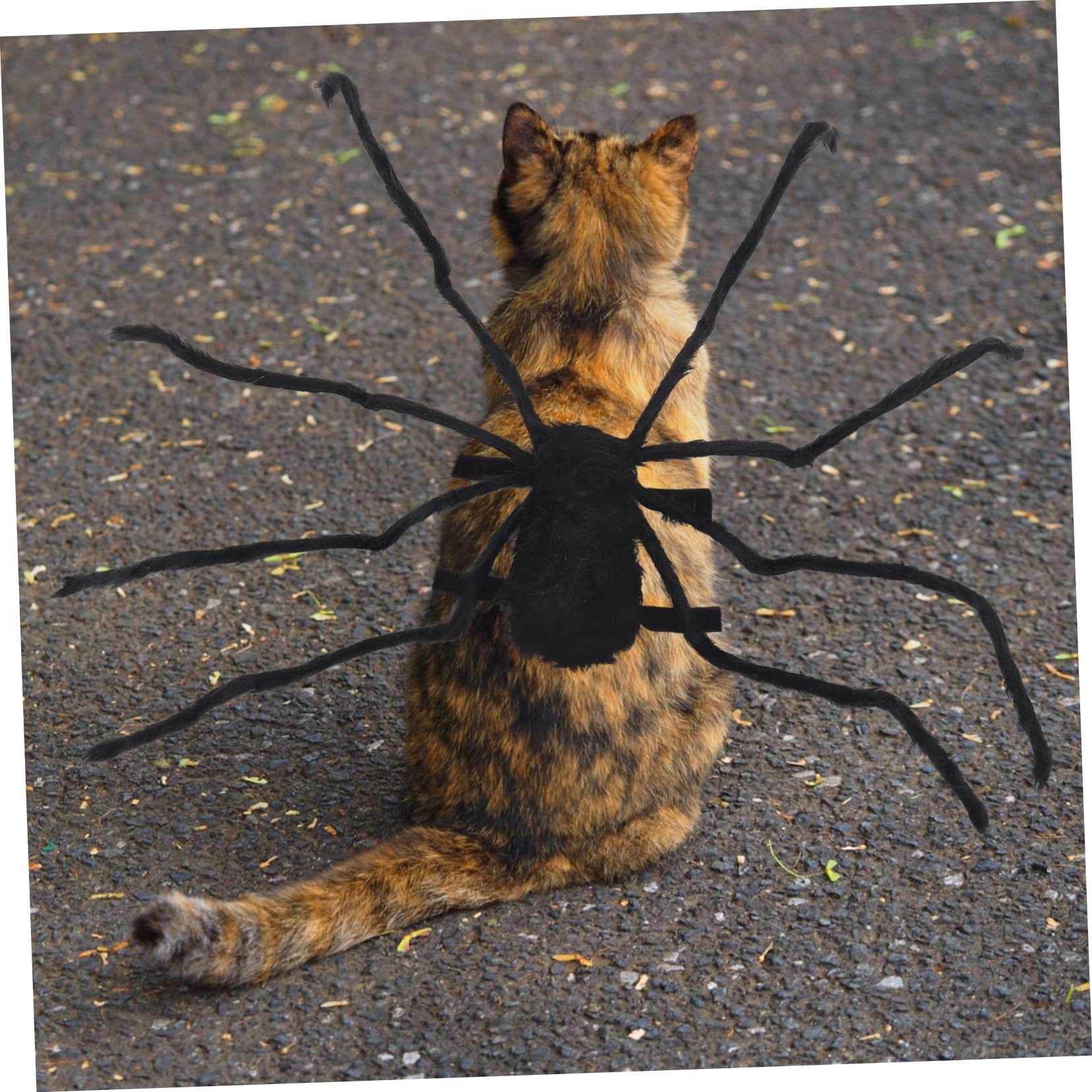 HANABASS 3pezzi Costume Per Animali Domestici Forma Di Ragno Fuzzy Per Halloween Accessorio Divertente e Spaventoso Per Cani e Gatti Adatto Occasioni Festive e Foto Memorabili