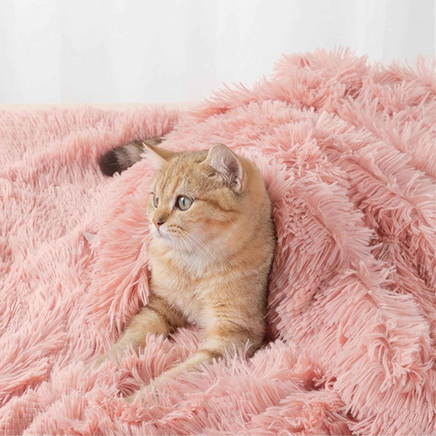 Washable Pet Blankets, Pet Furniture Protectors for Puppies, Dog Blanket, Cat Blanket, Sofa Sleeping Blanket, Bed Protector for Small and Medium Dogs