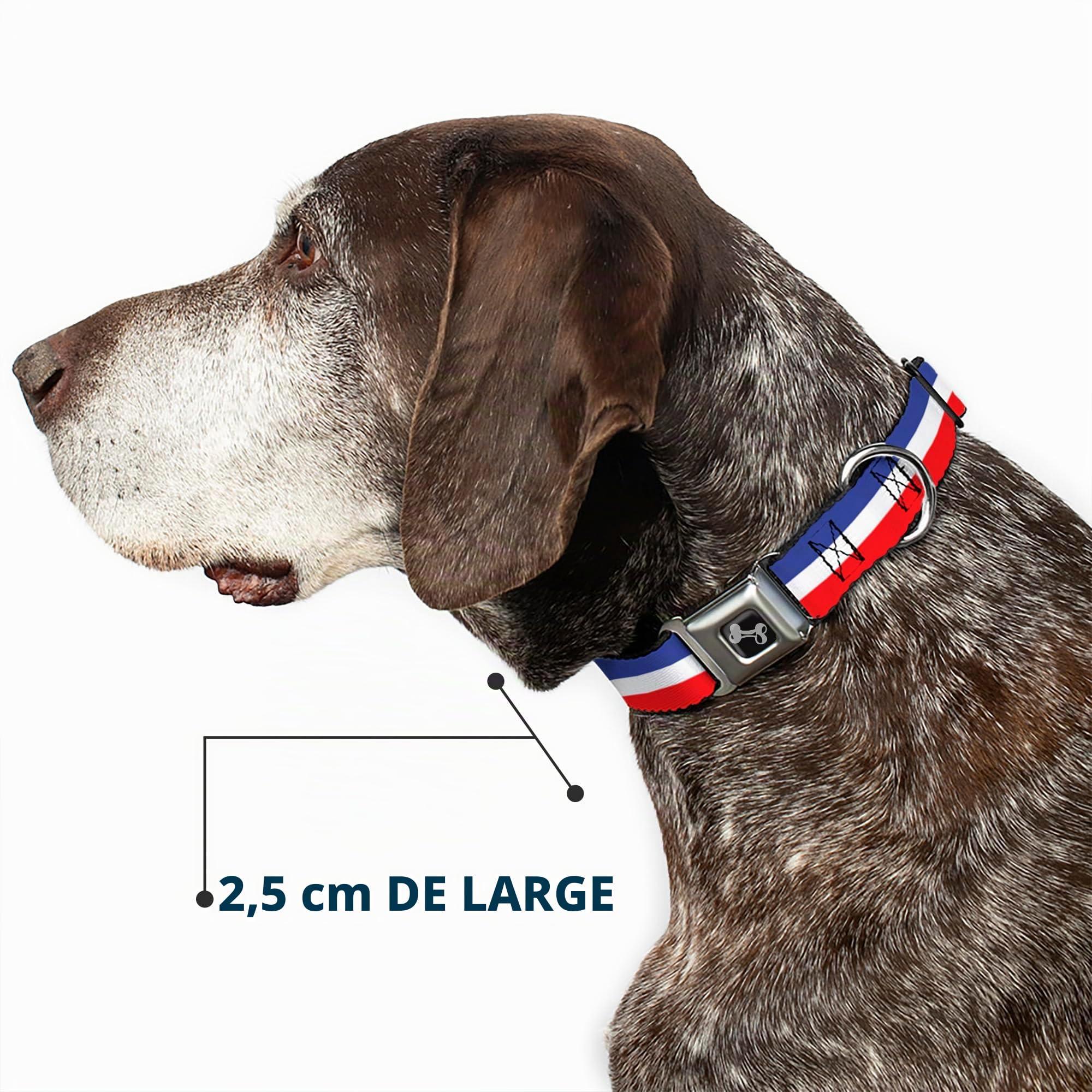 Buckle Down 9–38,1 cm Rayures Rouge/Blanc/Bleu Collier de Chien en Forme d'os, Petite