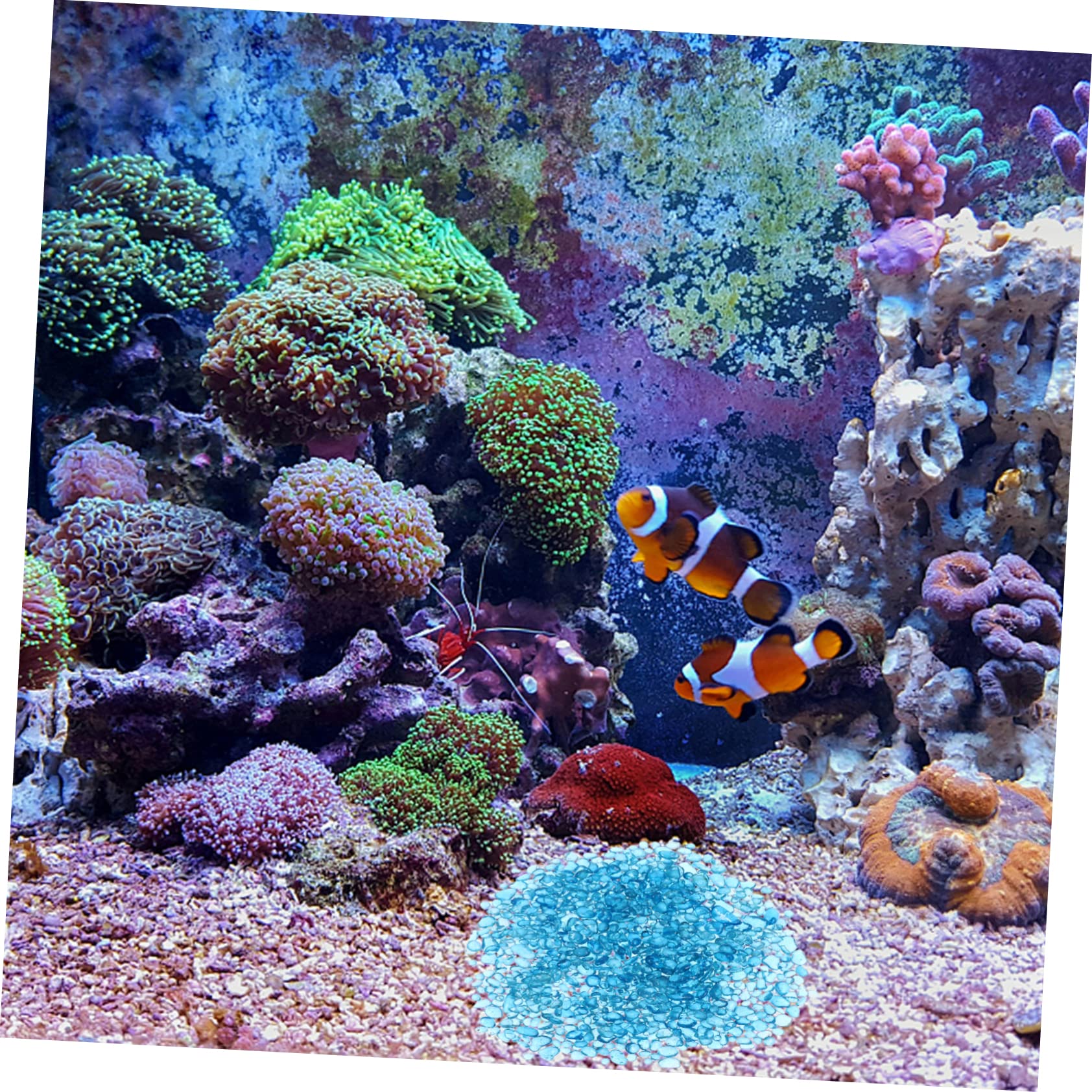 Amazon | MERRYHAPY 1ほうそう彩色水晶石 水族館用装飾 透明ガラス