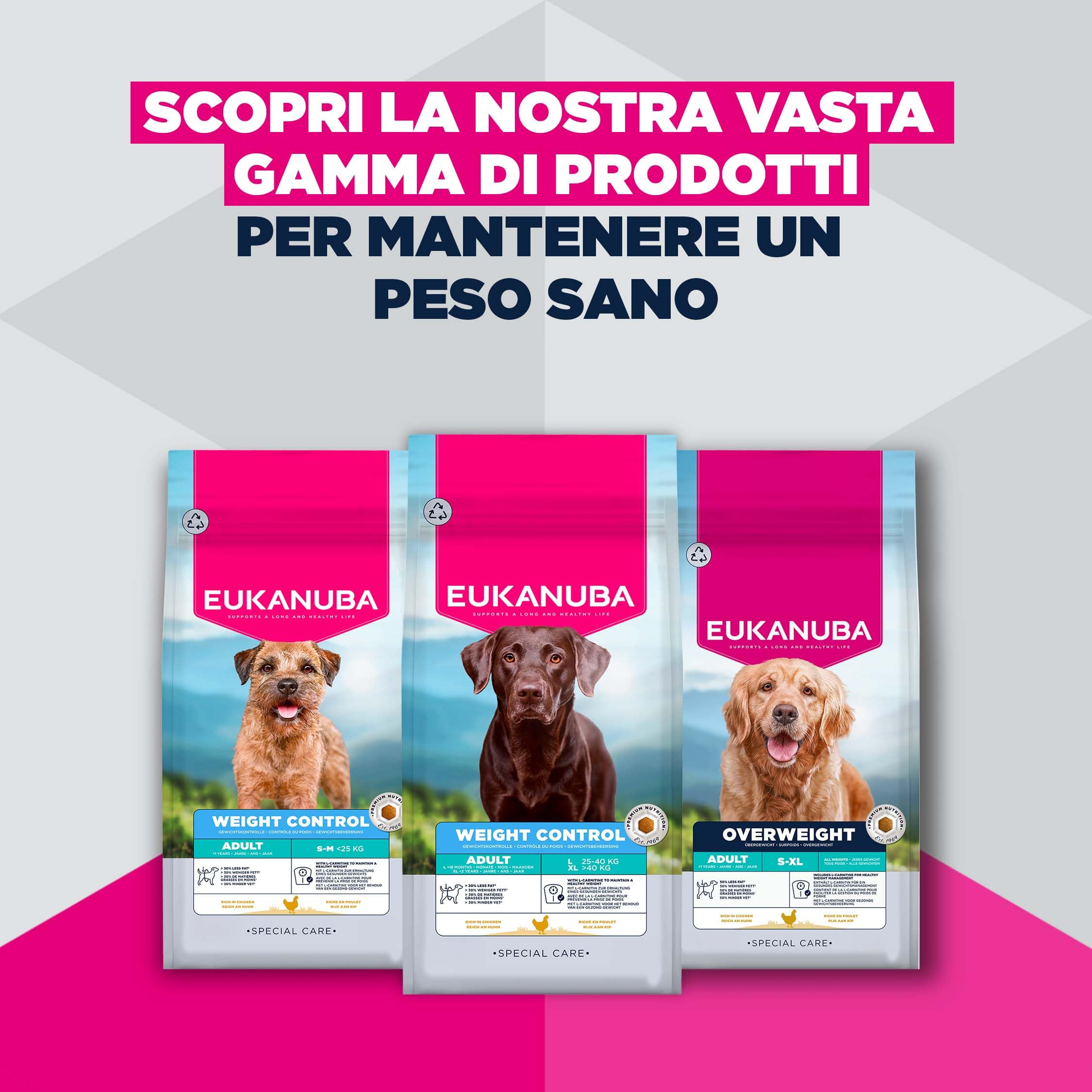 EUKANUBA Overweight Cibo per cani con pollo - Mangime secco Special Care a basso contenuto di grassi per la riduzione del peso, indicato per cani che tendono al sovrappeso, 12 kg