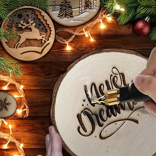Miniatura 2 de Kit profesional de quema de madera de 60 W, herramienta de pirografía con 20 puntas de alambre incluyendo puntas de bola