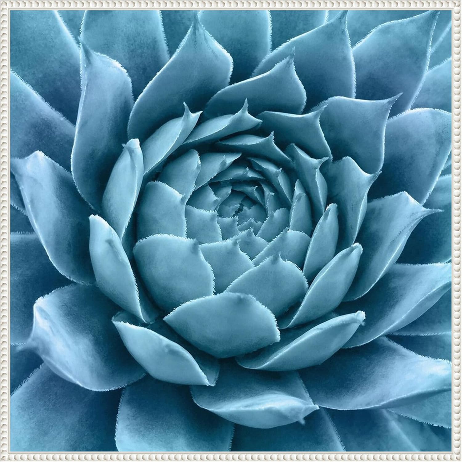 Amanti Art Framed Canvas Wall Art 30x30 Silvery Blue Agave by Jan Bell, Framed Wall Art Canvas, Abstract Artwork, Traditional Decor, Large Poster Painting for Living Room, Bedroom, Bathroom, Kitchen,