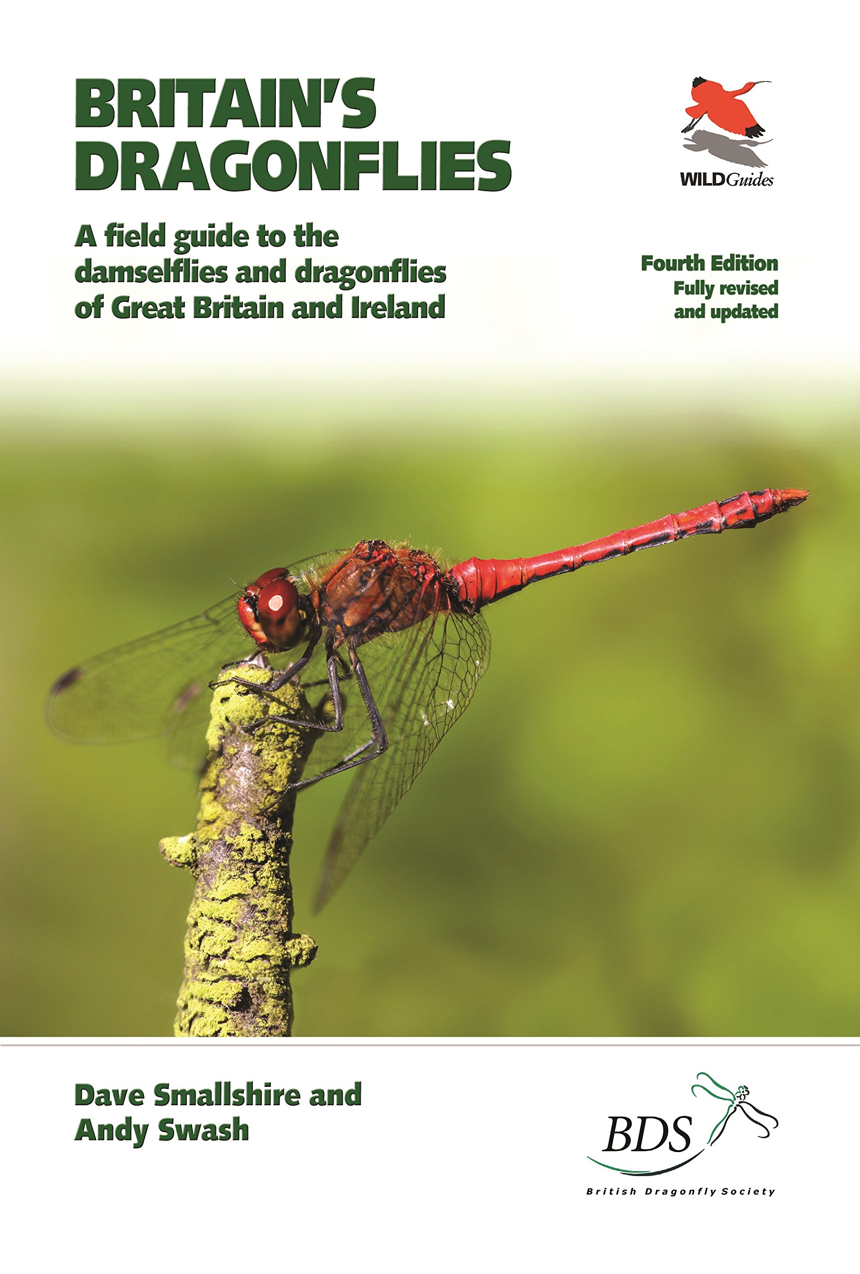 Britain's Dragonflies: A Field Guide to the Damselflies and Dragonflies of Great Britain and Ireland - Fully Revised and Updated Fourth Edition (WILDGuides): 12