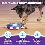 Dog Twister Advanced Puzzle Dog Toy