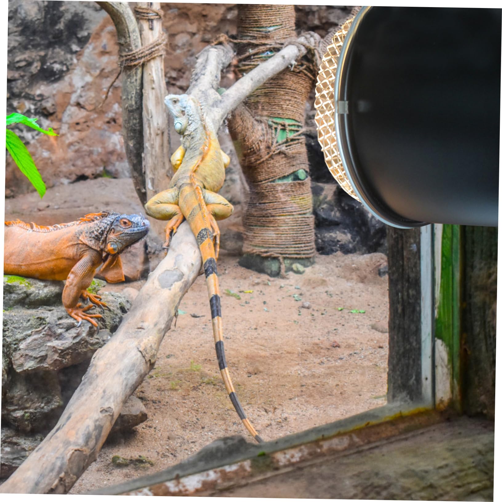 VANZACK 4pezzi Lampada Per Rettili Con Paralume Di Protezione Copertura Scaldante Per Tartarughe Lucertole e Altri Animali Domestici Installazione Facile e Sicura Struttura
