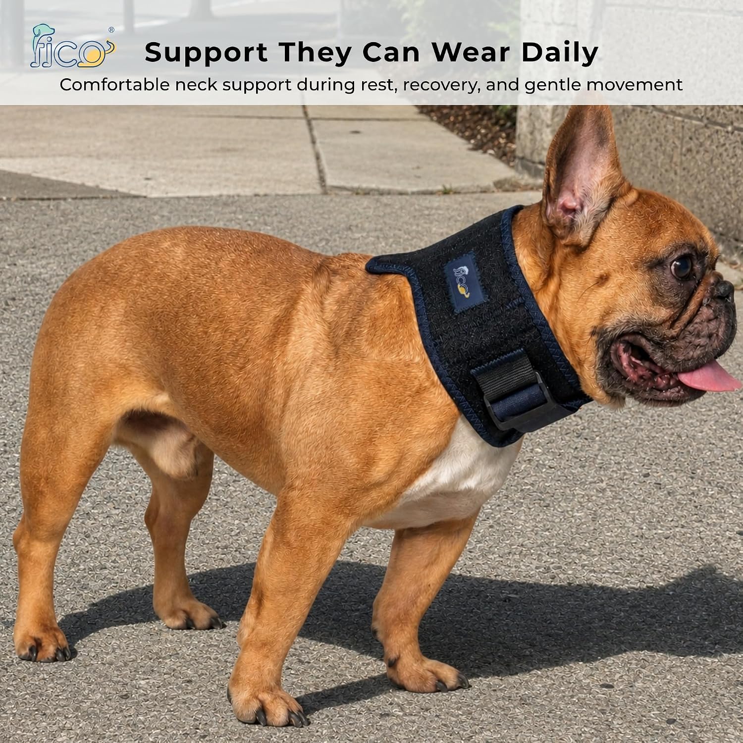 Dog Neck Brace - Adjustable Cervical Support Collar with Removable Splints for IVDD, Wobbler Syndrome, Spinal Injuries & Post-Surgery Recovery - Soft Neoprene Cat & Dog Neck Wound Cover (S)