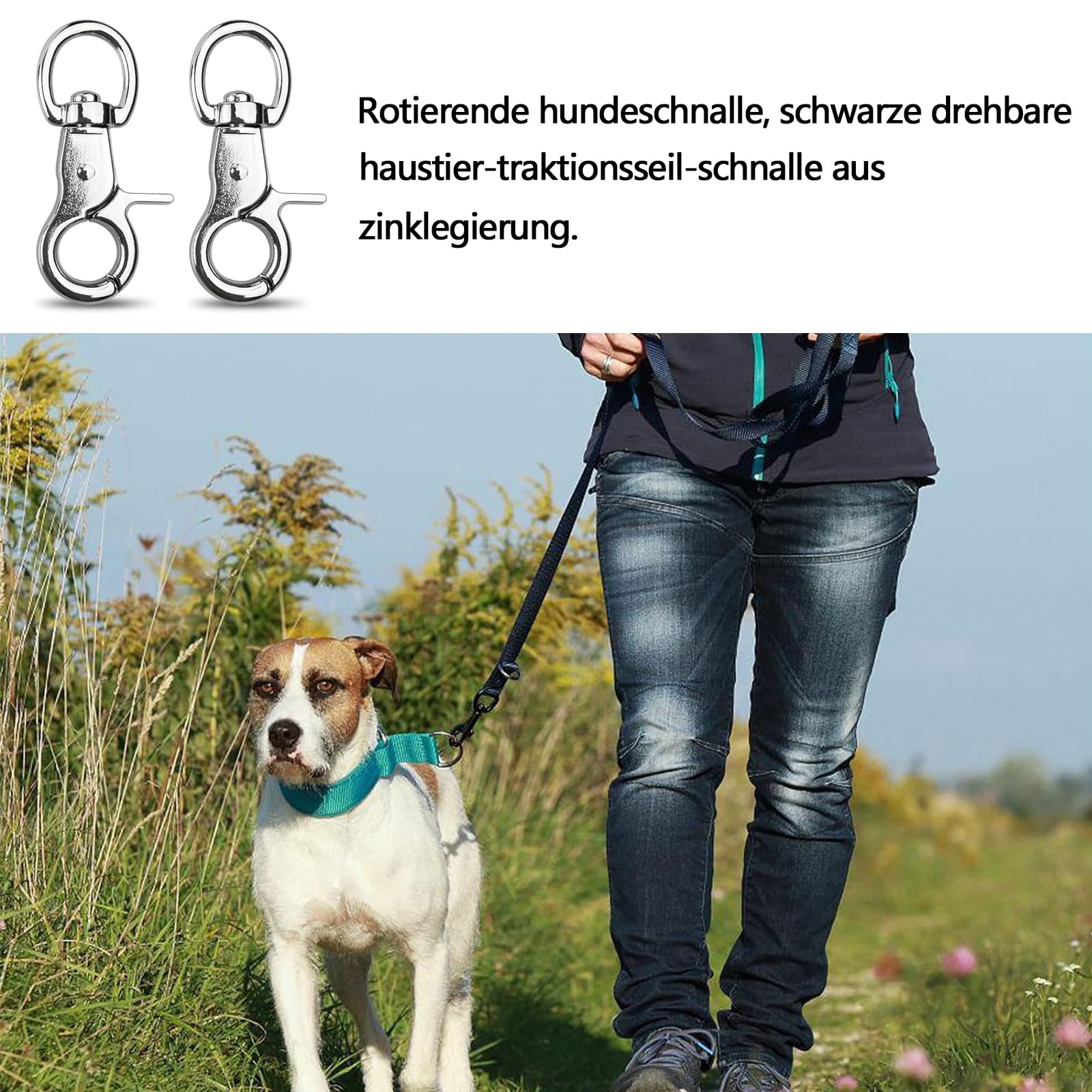 5 sztuk karabińczyków nożycowych, karabińczyków kręgowych, ze stopu cynku, do łańcuszka dla psa, paska dla kotów, breloczków, pasków do aparatu