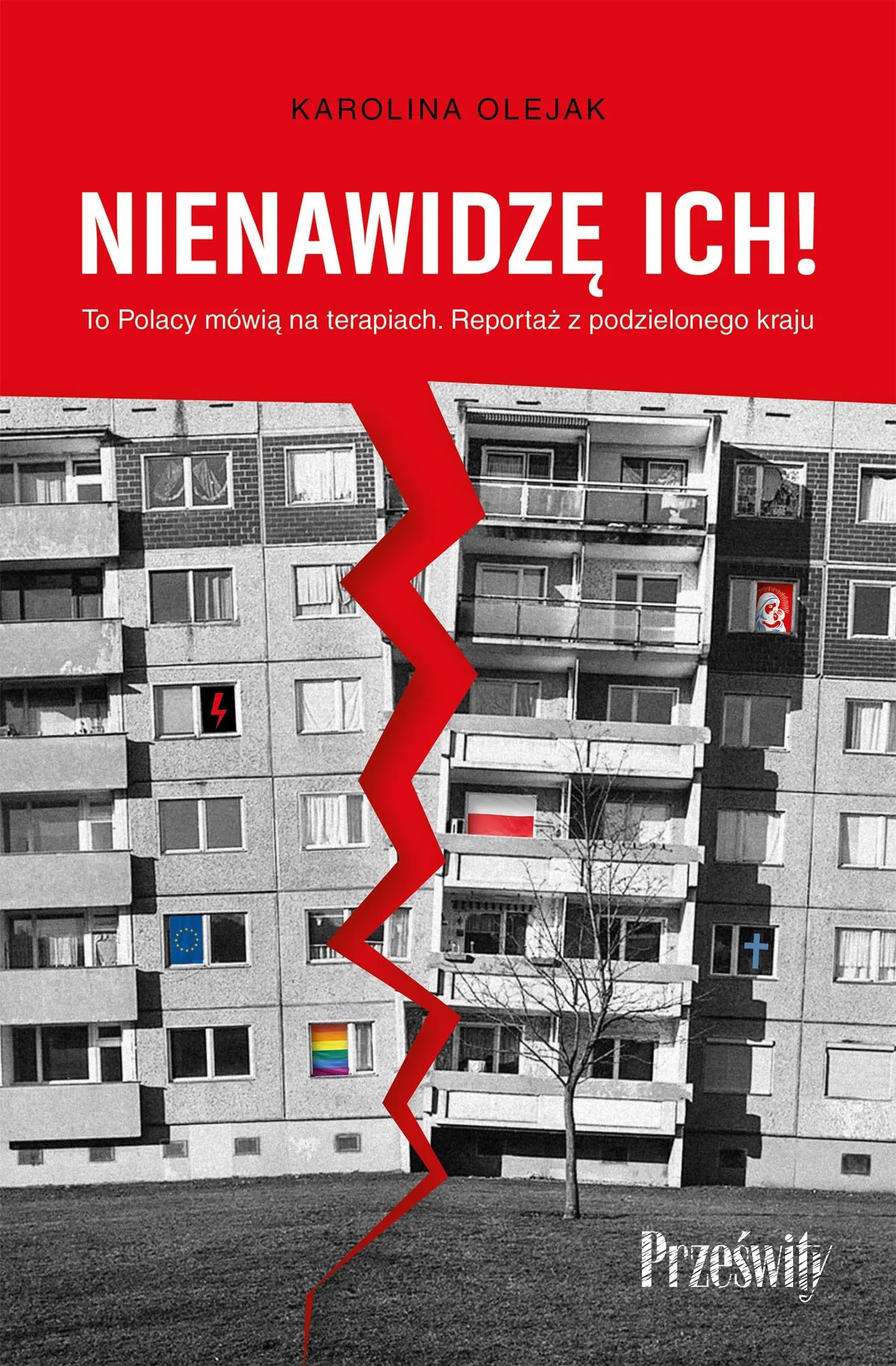 Nienawidzę ich!: To Polacy mówią na terapiach. Reportaż z podzielonego kraju