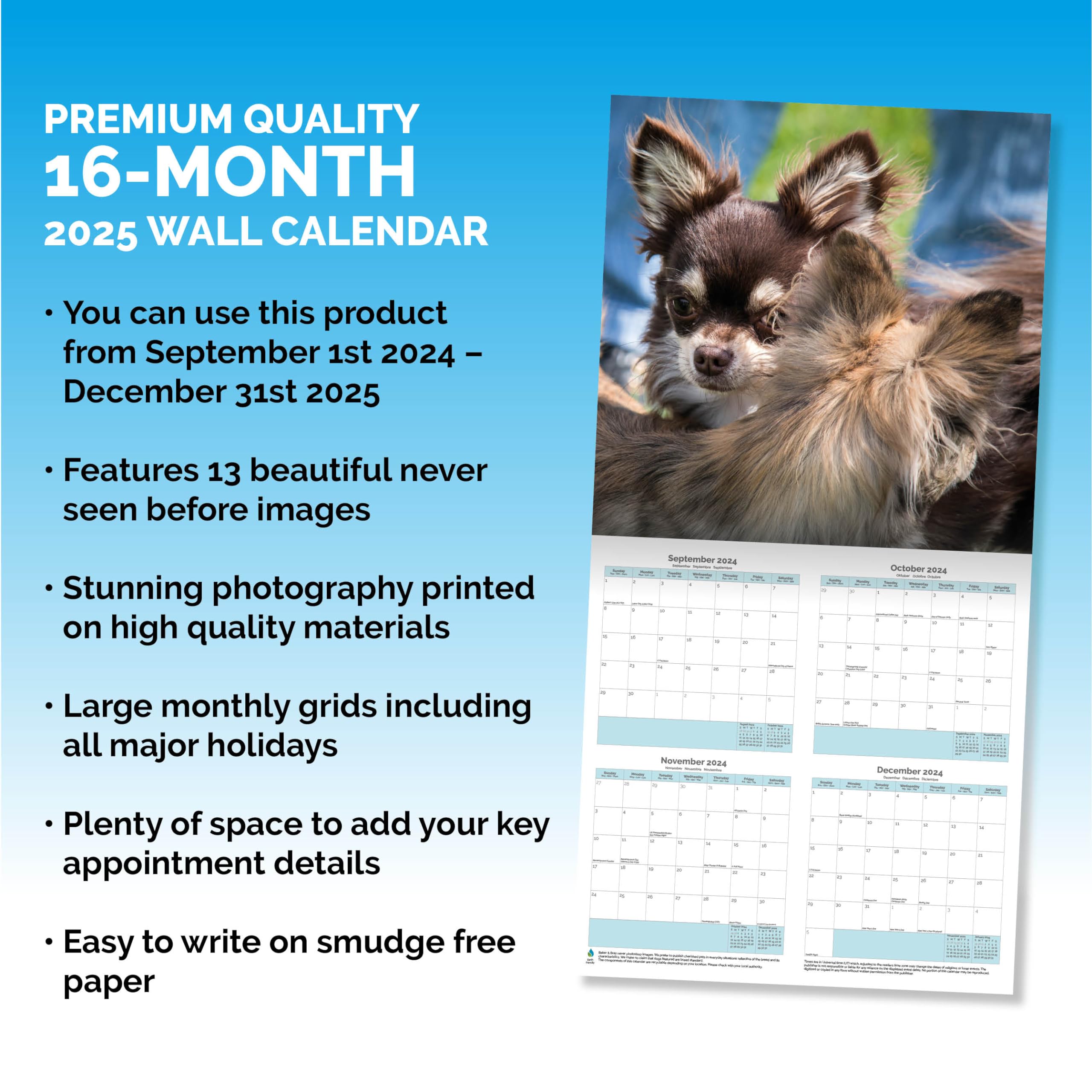 Baker and Bray Chihuahua Calendar 2026, Large Square Wall Calendar With Organisational Stickers, 16 Month, Chihuahua Gift Dog Calendar - Image 3