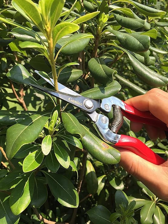 gonicc 8.5 Professional Rotating Bypass Titanium Coated Pruning Shears(GPPS-1014) and Micro-Tip Pruning Snip (GPPS-1008), Pruners with Heavy Duty SK5 Blade. Soft Cushion Grip Handle for Everyone.