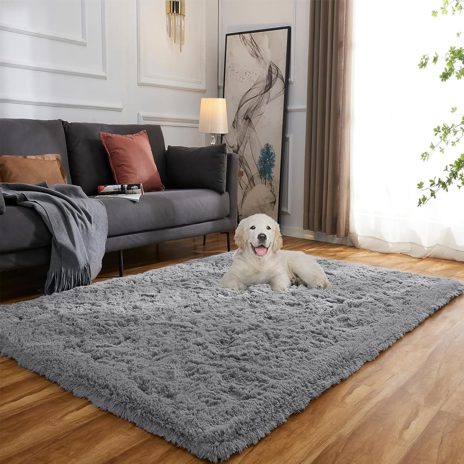 Evitany Area Rugs, Super Soft Fluffy Rugs Living Room, Washable Non ...
