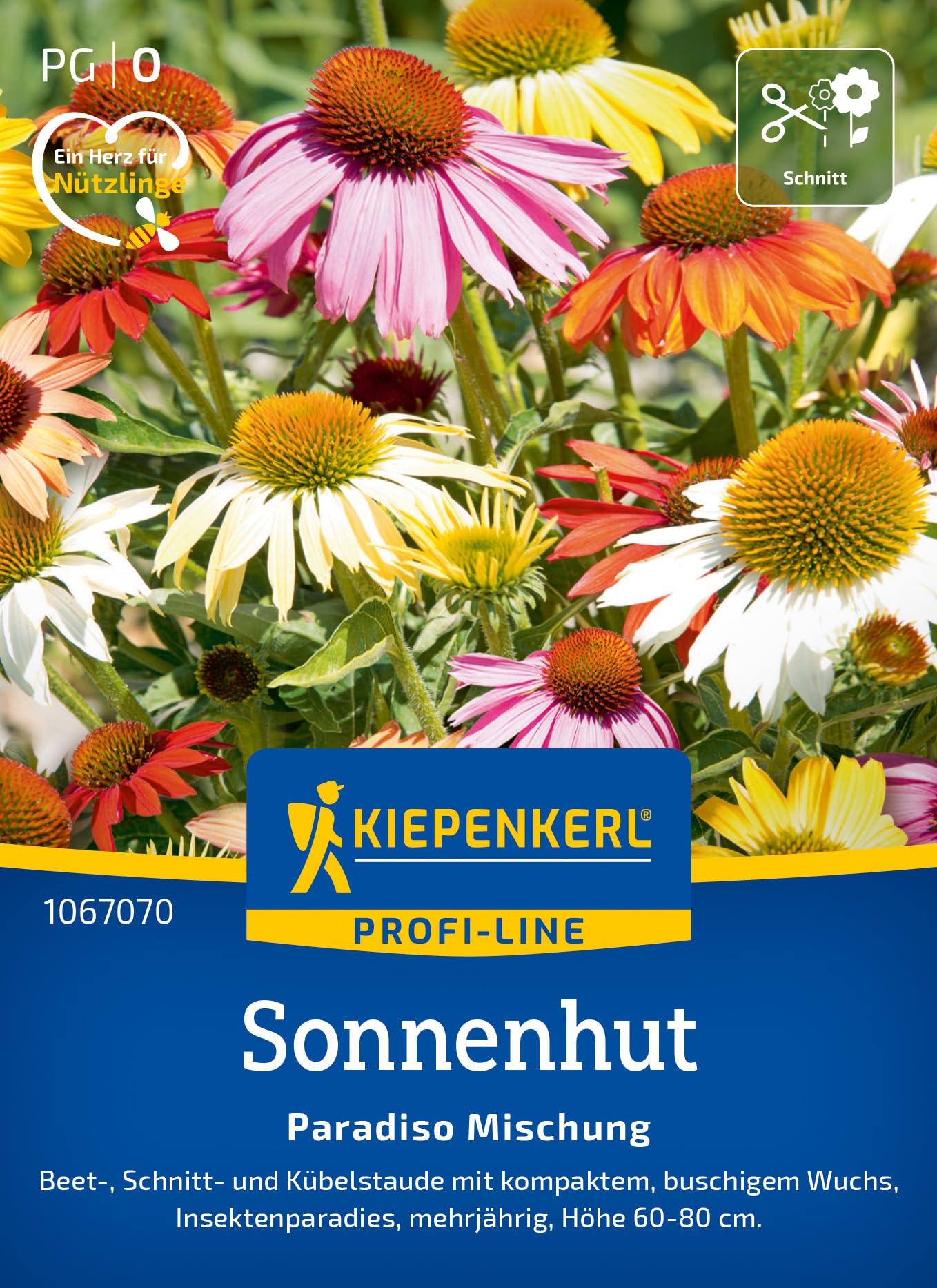 Kiepenkerl – Sonnenhut Samen Paradiso Mischung – Produktbeschreibung