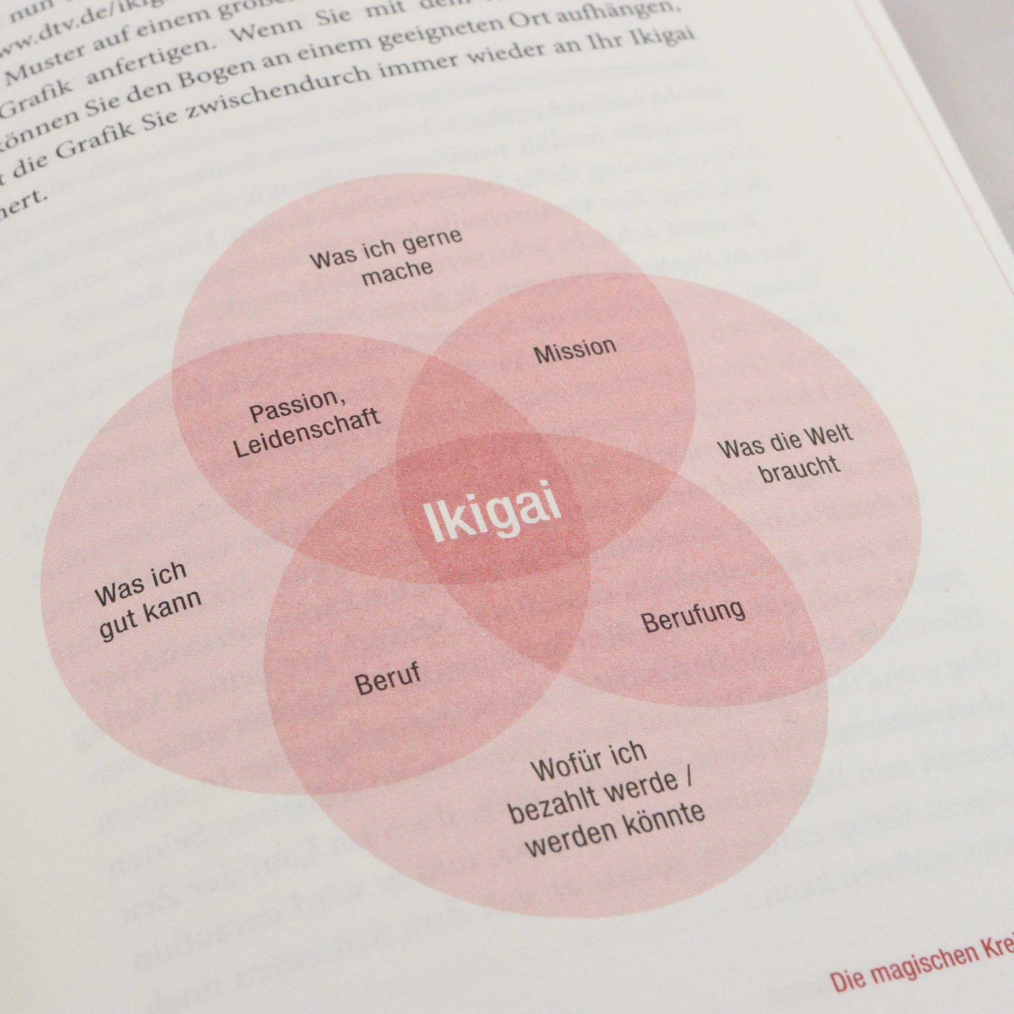 Entdecke dein Ikigai: Mit japanischer Weisheit den Sinn des Lebens finden – Das Praxisbuch