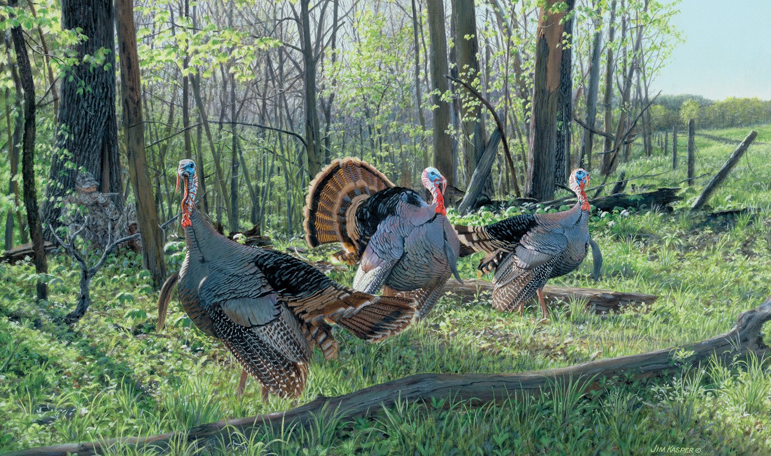 Mossy Oak Graphics28032 'Triple Treat Turkey' Indoor Graphics