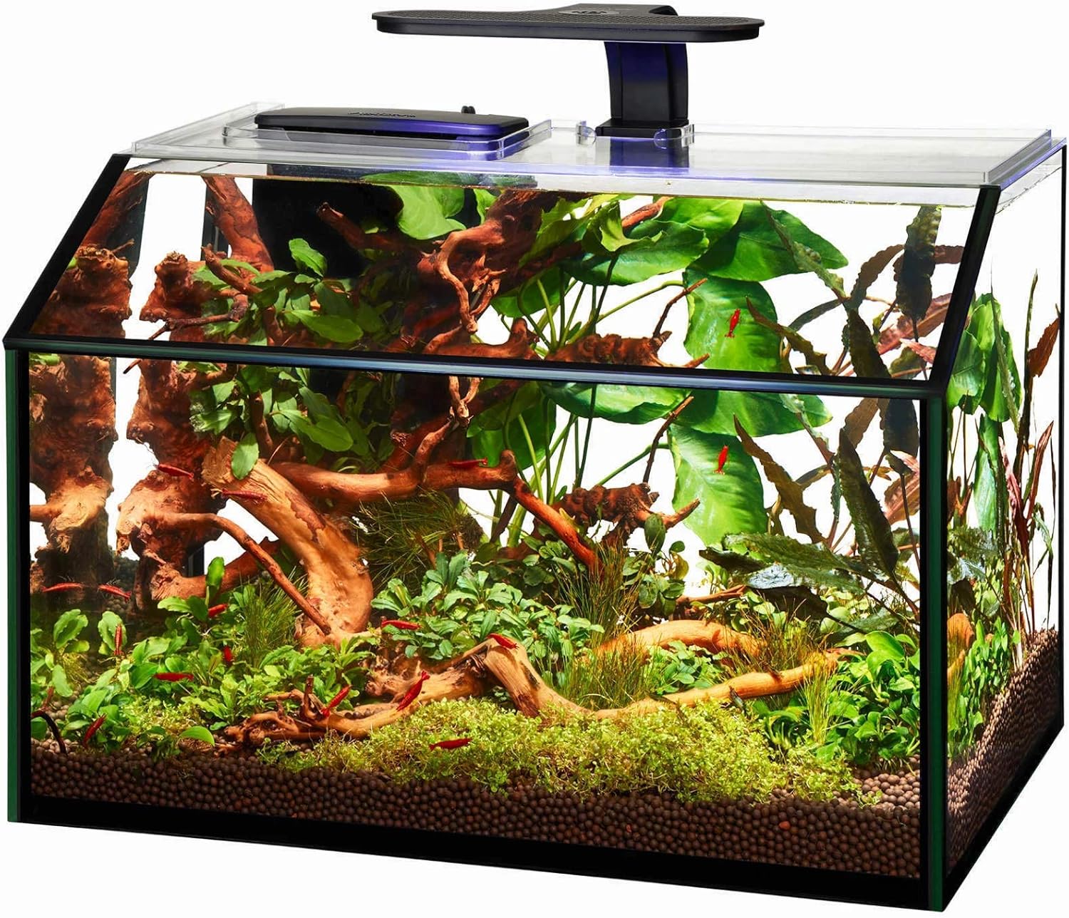 Aqueon Designer LED Katkarapu Akvaario Kit Suomi Ubuy