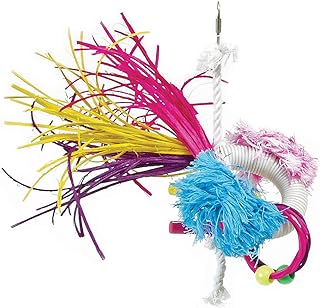 Prevue Pet Products Tropical Teasers Dynamo Bird Toy, Multicolor