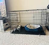 Review Image by Elena