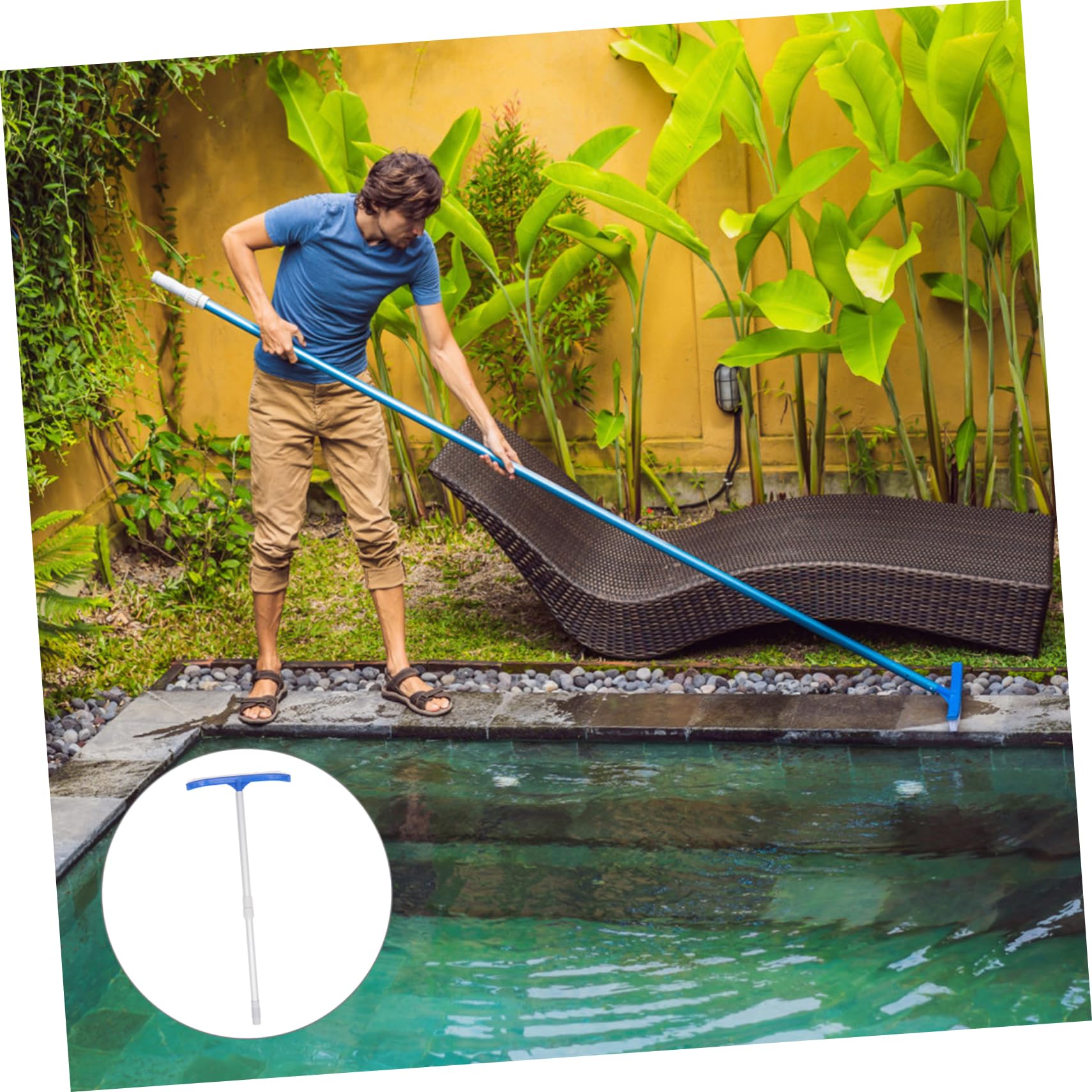 Brosse pour Piscine Bleue en Abs, 1 Lot, Nettoyage des Parois Fond