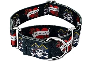 Country Brook Martingale Dog Collar: A Bond with Your Best Friend