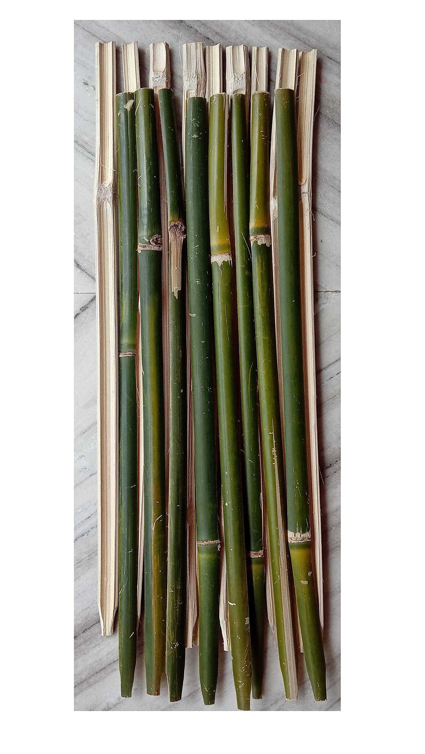 Kabi Aggro Bamboo Sticks for Plant Support Pack of 40 pcs 27 inches Height/Climbers Support for Live Plant (B09LSDZ4GN) Amazon Price History, Amazon Price Tracker