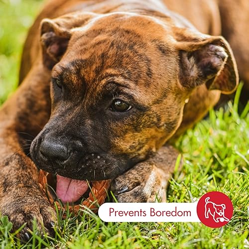 Miniatura 8 de SPOT by Ethical Products - Varilla trenzada de bambú, anillo, juguete triple masticable, juguetes para perros con sabor a nogal y bisonte, compras