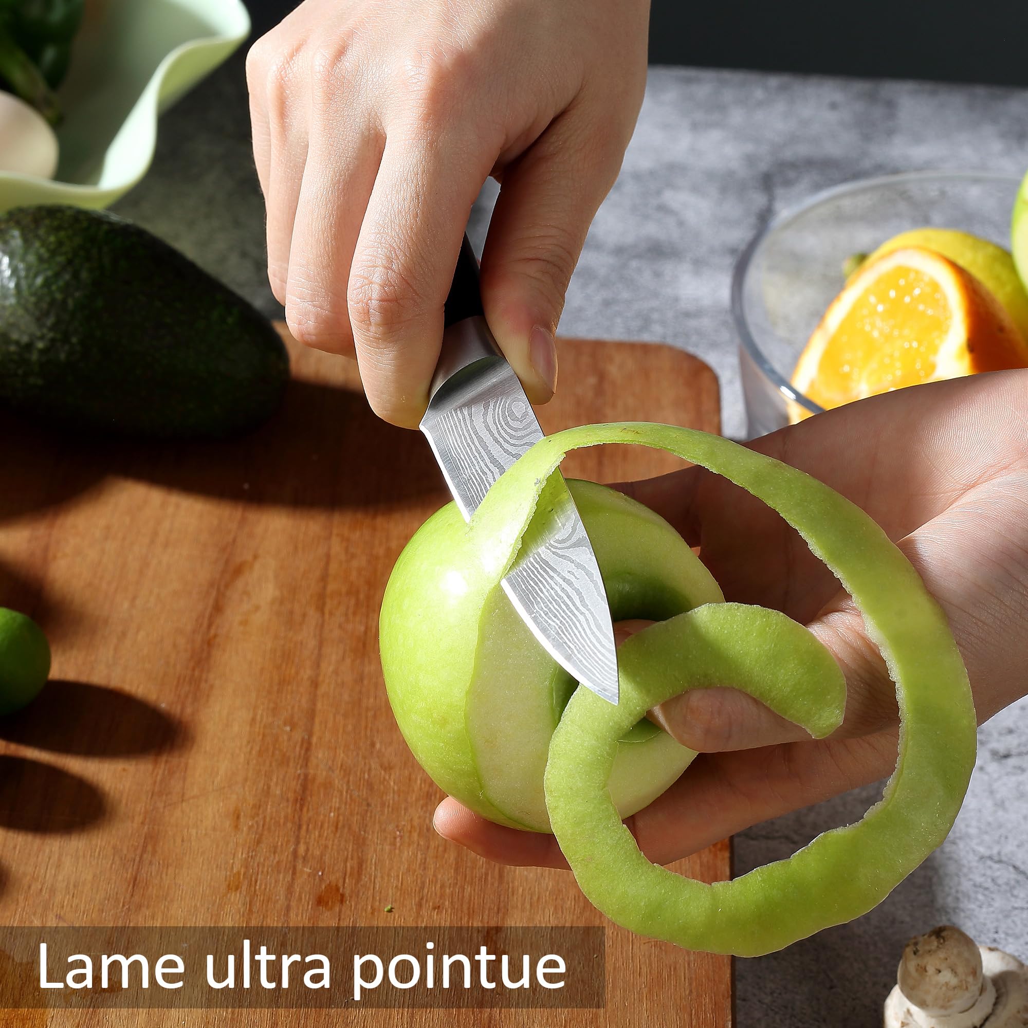 PAUDIN Couteaux à Eplucher - Couteau à Fruits de 3,5 Pouces, Tranchants Couteau d'office Allemands en Acier Inoxydable à Haute Teneur en Carbone, Résistant à l'usure